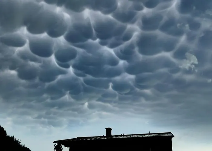 Tobias * 拉德施塔特